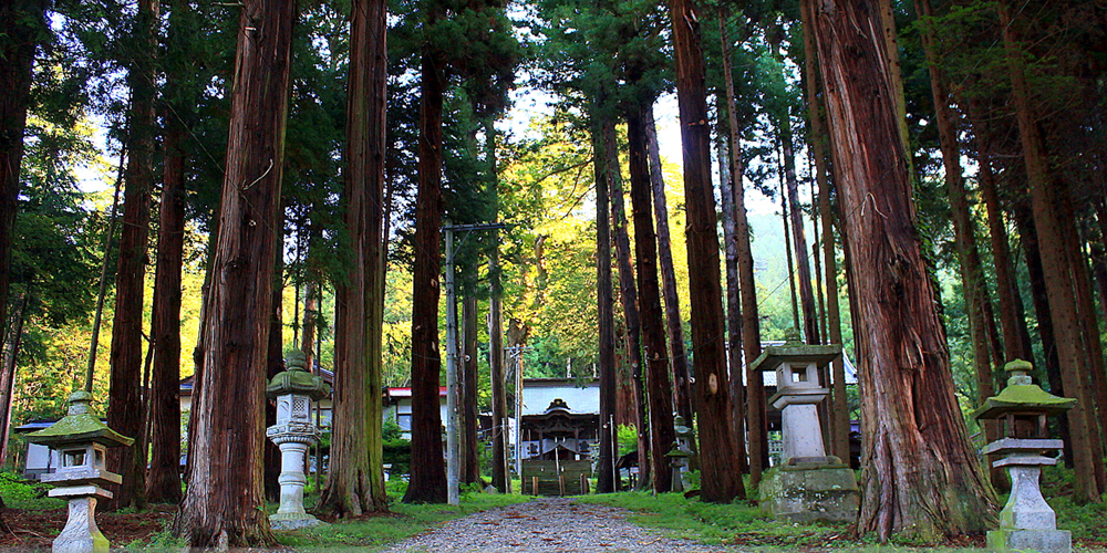 新海三社神社 | 参道