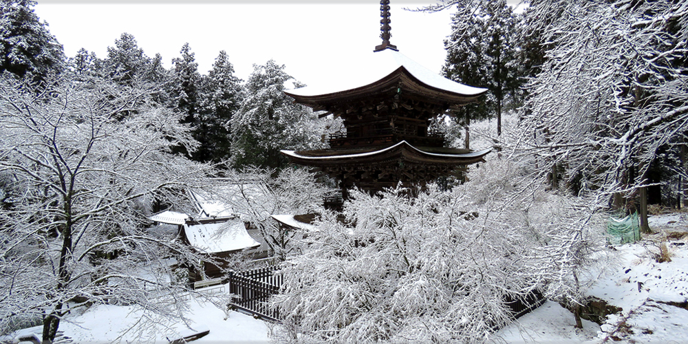 新海三社神社 | 三重塔